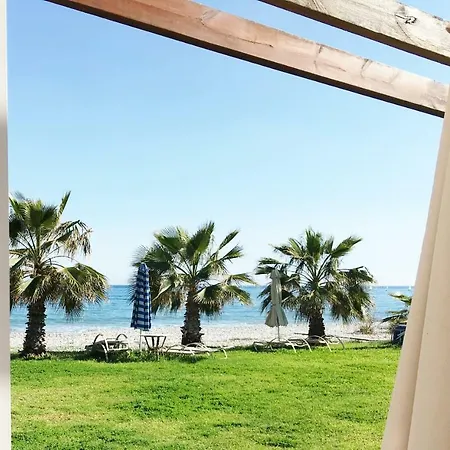 House Mesopotamias 32 * لارنكا